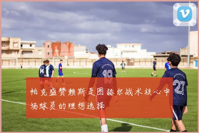 帕克盛赞赖斯是图赫尔战术核心中场球员的理想选择